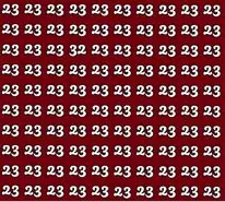 بازی فکری : فقط 1% مردم میتونن تو 5 ثانیه عدد 32 رو پیدا کنند!