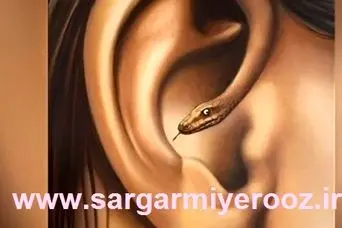 ریاکار هستید یا نه؟ | با اولی چیزی که ببنید ریاکاری شما لو می رود