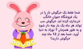 تست هوش سخت | بتونی به تست هوش خانواده خرگوش جواب بدی نمره مغزت 20 از 20 عه