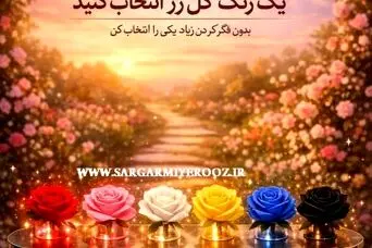 روانشناسی شخصیت : یک رنگ گل رز انتخاب کنید تا بگوییم در دوست داشتن چه شخصیتی دارید!
