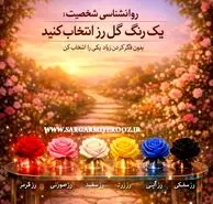 روانشناسی شخصیت : یک رنگ گل رز انتخاب کنید تا بگوییم در دوست داشتن چه شخصیتی دارید!