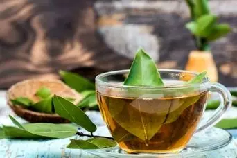 پزشکان شوکه شدند؛ تأثیر شگفت‌انگیز مصرف این گیاه به صورت ناشتا