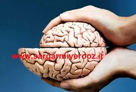 سم زدایی از مغز با 3 راهکار طبیعی و آسان