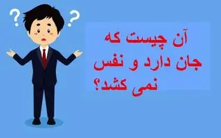 چیستان روز : آن چیست که جان دارد و نفس نمی کشد؟