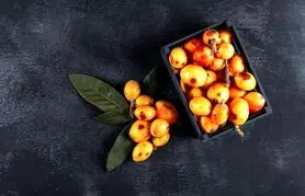 این میوه گیلانی سلامت قلب و مغز شما را تضمین می کند
