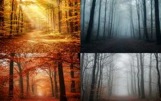 تست شخصیت شناسی : با انتخاب یک مسیر  بفهمید چقدر کم حرف هستید!