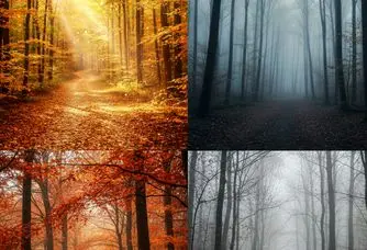 تست شخصیت شناسی : با انتخاب یک مسیر  بفهمید چقدر کم حرف هستید!