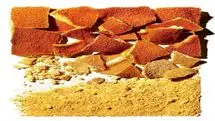 اگه میدونستی پودر پوست پرتقال و نارنگی چقدر حیاتیه عمرا دورشون میریختی؛ نحوه خشک کردن پرتقال و نارنگی 