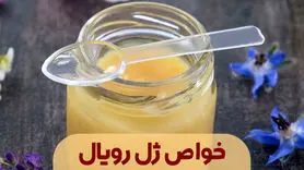 این معجزه از دل طبیعت تمام مشکلات یائسگی وفشار خون رو شفای کامل میده