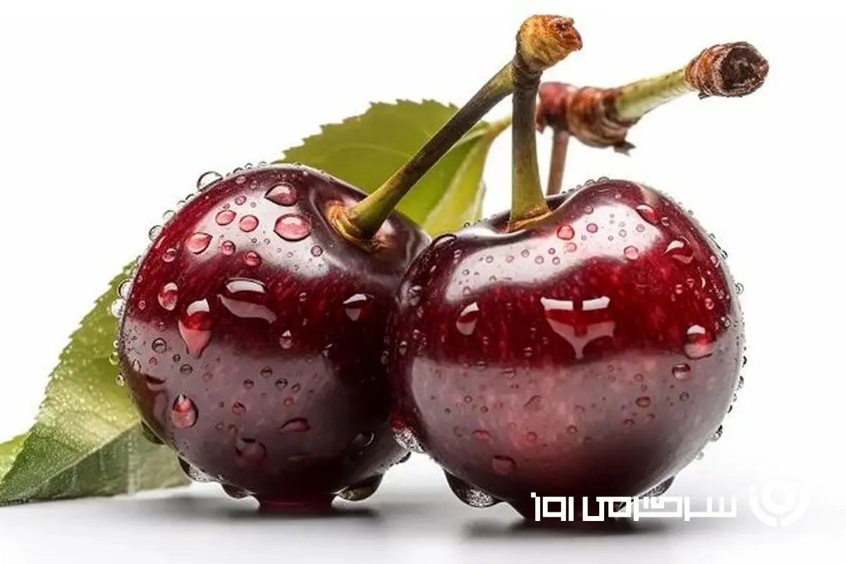 ترفند جالب تشخیص گیلاس کرم دار / با این روش دیگه گیلاس کرم دار نخور
