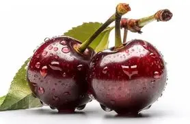 ترفند جالب تشخیص گیلاس کرم دار / با این روش دیگه گیلاس کرم دار نخور
