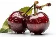 ترفند جالب تشخیص گیلاس کرم دار / با این روش دیگه گیلاس کرم دار نخور