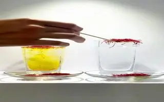 ۹۵ درصد مردم نمیتونن زعفرون اصل رو از تقلبی تشخیص بدن + راهکار تضمینی