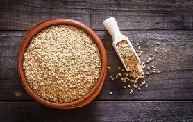 التهاب/گرگرفتگی/کاهش چاقی/تنظیم فشار خون و پیشگیری از سرطان روده بزرگ در ناشتا کار این بذر است

