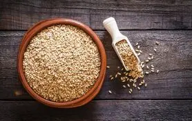 التهاب/گرگرفتگی/کاهش چاقی/تنظیم فشار خون و پیشگیری از سرطان روده بزرگ در ناشتا کار این بذر است

