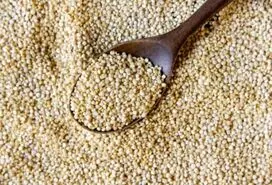 این گیاه جایگزین ارزان قیمت گوشت است | مواد مغذی این گیاه چند برابر گوشت می باشد + خواص درمانی