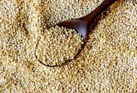 این گیاه جایگزین ارزان قیمت گوشت است | مواد مغذی این گیاه چند برابر گوشت می باشد + خواص درمانی