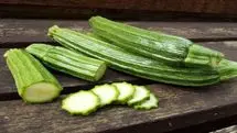 اگر سرتان همیشه توی گوشی است، خوردن این سبزی را فراموش نکنید!