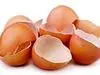  عمرا اگه میدونستی پوست تخم مرغ چه کاربردای خفنی تو خونه و زندگی داره 