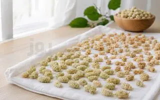 نحوه خشک کردن توت سفید در خانه بدون سیاه شدن!