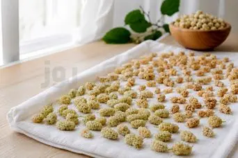 نحوه خشک کردن توت سفید در خانه بدون سیاه شدن!