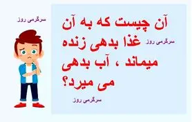 چیستان روز |  آن چیست که به آن غذا بدهی زنده میماند ، آب بدهی می میرد؟