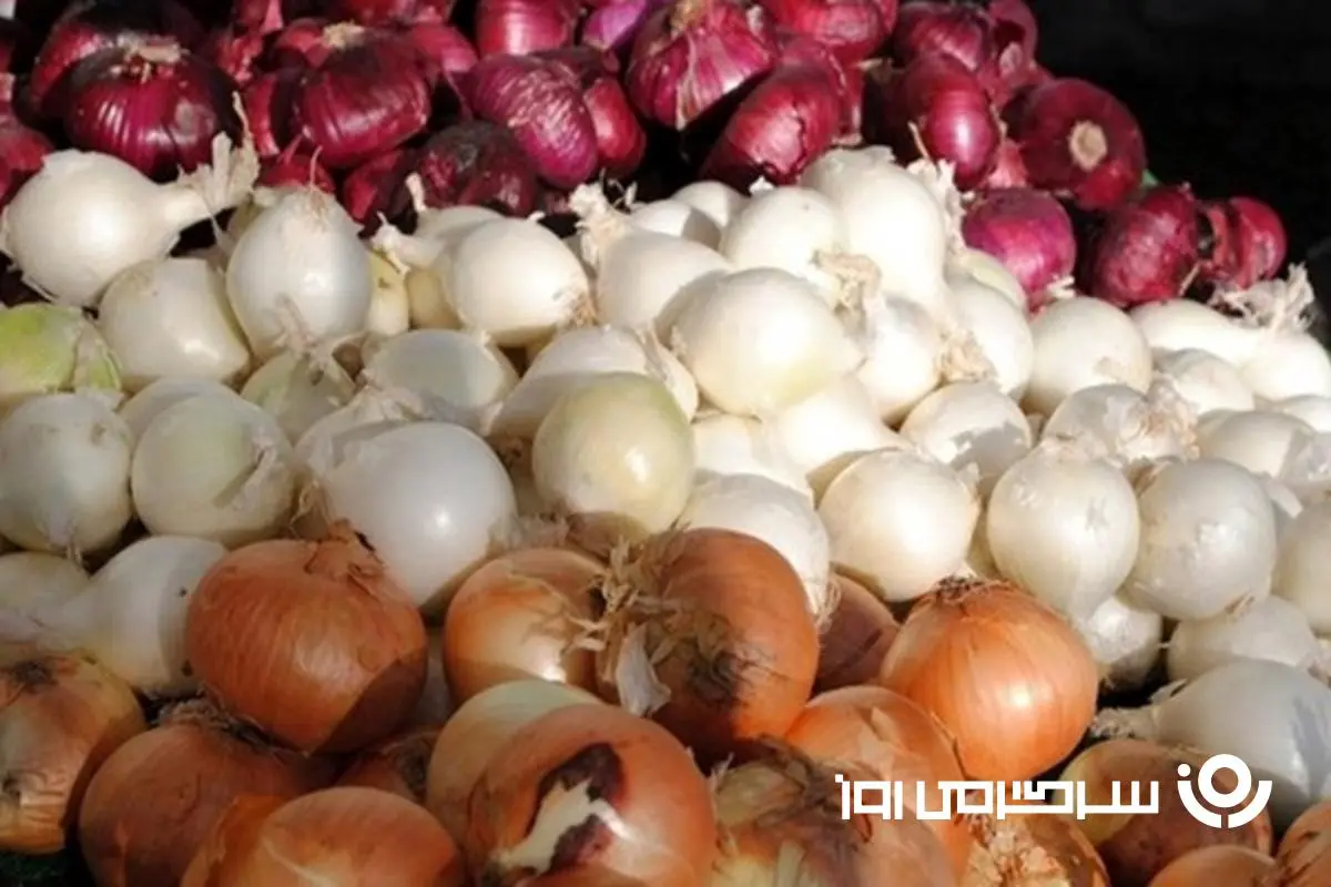 کاربرد هر رنگ پیاز که تا حالا کسی بهمون نگفته بود | یه عمر اشتباهی از پیازهای مختلف استفاده میکردیم