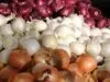 کاربرد هر رنگ پیاز که تا حالا کسی بهمون نگفته بود | یه عمر اشتباهی از پیازهای مختلف استفاده میکردیم