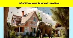 تست روانشناسی | تو زندگیت پطروس فداکار بودی یا همیشه ترسو بودی و پشت بقیه قایم میشدی؟ بگو اول چی دیدی تو تصویر