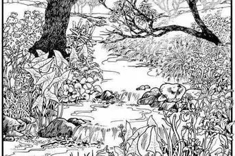 بازی فکری: فقط افراد با ضریب هوشی بالا می‌توانند صورت یک دختر را در جنگل در 11 ثانیه تشخیص دهند!