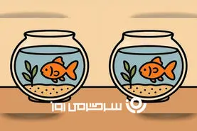 بازی فکری: اساتید و نوابغ بدوید که فقط ۱۷ ثانیه برای پیدا کردن ۳ تفاوت وقت دارید!