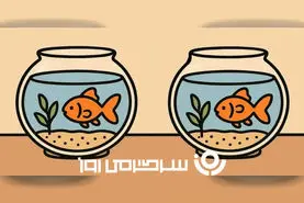 بازی فکری: اساتید و نوابغ بدوید که فقط ۱۷ ثانیه برای پیدا کردن ۳ تفاوت وقت دارید!