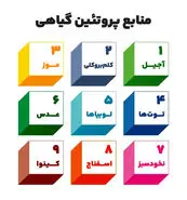 مصرف این گیاهان در ناشتا چندین برابر خوردن گوشت برای بدن موثر است | تنظیم قند و فشار خون و صفرشویی کبد و کلیه