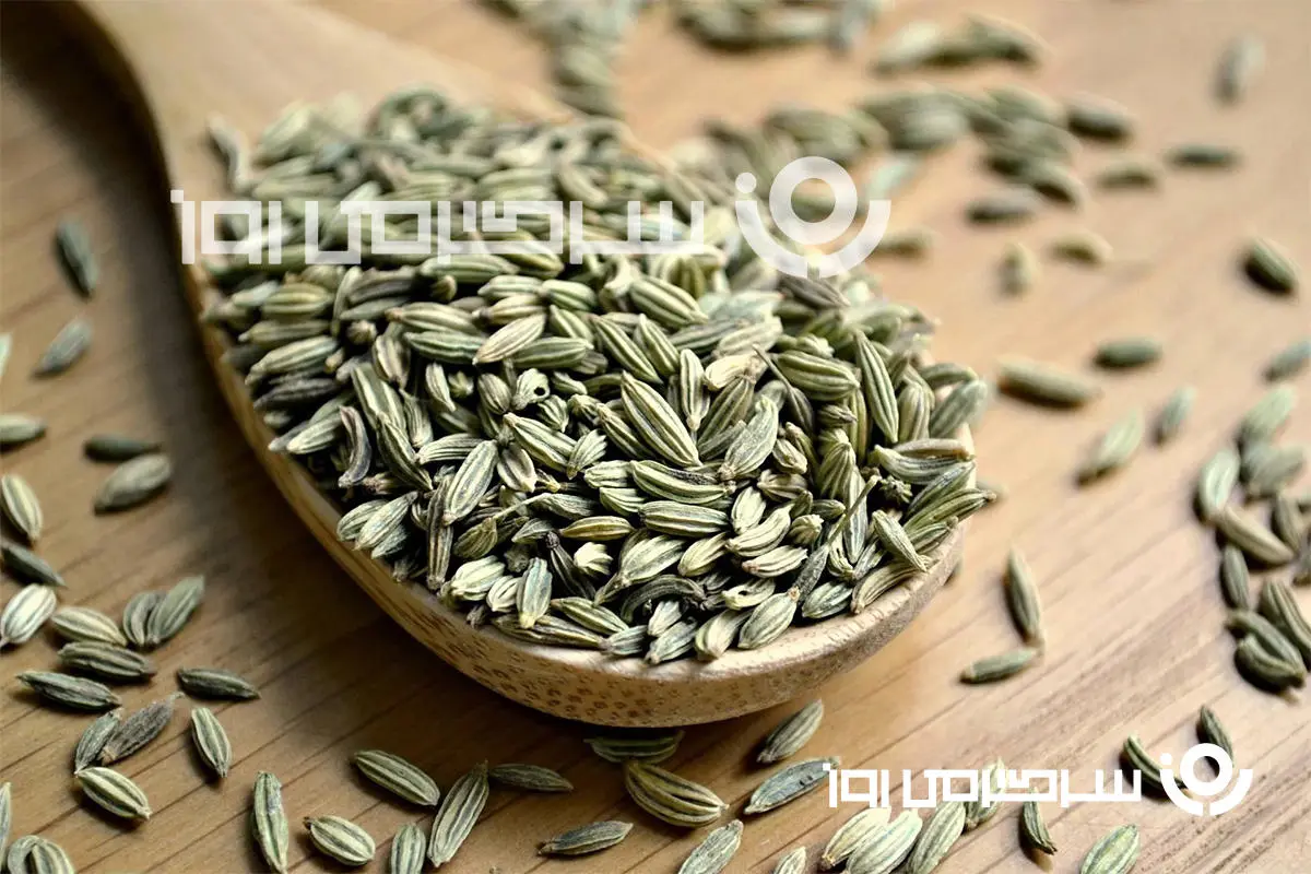این گیاه و این همه خاصیت؟ | ضد سرطان بودن این گیاه رو هم طب سنتی تایید کرده هم طب جدید + فیلم