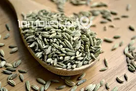 این گیاه و این همه خاصیت؟ | ضد سرطان بودن این گیاه رو هم طب سنتی تایید کرده هم طب جدید + فیلم