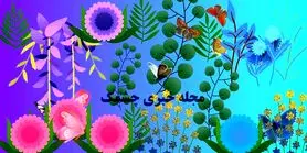 تست هوش | در 11 ثانیه همه پروانه ها رو پیدا کنید