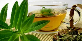  خواص به لیمو ؛ از کاهش نفخ و دل درد تا مقوی اعصاب | بهترین زمان مصرف دمنوش به لیمو