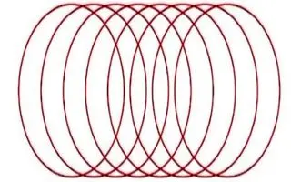 بازی فکری : فقط اوناییکه ضریب هوشی انیشتین و دارن می تونن تعداد دقیق دایره هارو پیدا کنن!