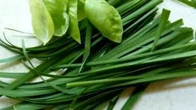 مصرف این سبزی در صبحانه سردی و سموم و کم خونی را درمان می کند + بهبود ناراحتی کبد و زخم های کثیف و چرک دار

