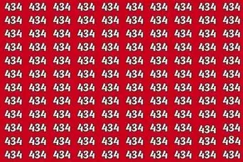 بازی فکری : اگه مشکل بینایی نداری عدد ۴۸۴ را در ۸ ثانیه پیدا کن!