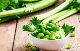  این گیاه به صورت قطعی سنگ کلیه را بدون درد درمان می کند 