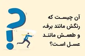 چیستان روز |  آن چیست که رنگش مانند برف و طعمش مانند عسل اسـت؟


