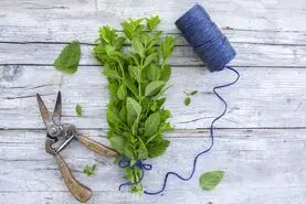 روش کاربردی  و سریع برای خشک کردن سبزی های معطر | تو سه سوت سبزی خشک داشته باش