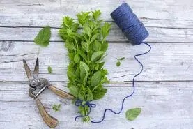روش کاربردی  و سریع برای خشک کردن سبزی های معطر | تو سه سوت سبزی خشک داشته باش