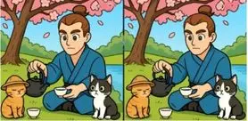 بازی فکری : اگر ضریب هوشی بالای 100 دارید می توانید در عرض ۱۲ ثانیه ۳ تفاوت را پیدا کنید!