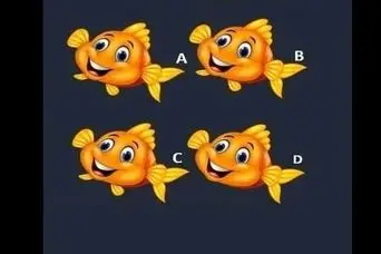 بازی فکری : اگر دید چشمتان HD است ماهی‌های مختلف را  در ۵ ثانیه پیدا کنید!