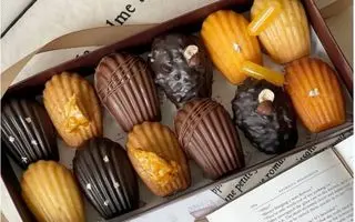 طرز کیک مادلین با روکش شکلاتی یک کیک خوشمزه فرانسوی برای پاییز