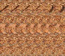 بازی فکری نوستالژی مخصوص دهه 60 ها | فقط بچه های دهه 60 میتونن تصویر واقعی رو پیدا کنند!