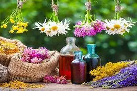 با این گیاهان 20 سال جوان شوید از شر چین و چروک پوست راحت شوید 