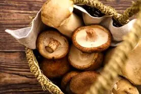 یک عمر قارچ رو اشتباهی نگه میداشتیم | ترفند نگهداری قارچ با طوات اولیه برای مدت طولانی تر